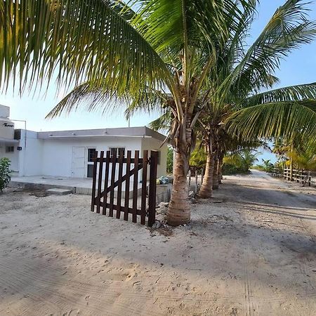 Casa Perla Marina, Pequena Casa Frente A La Playa. Apartment Ел Куйо Екстериор снимка