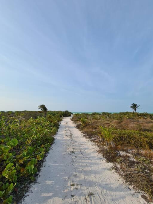 Casa Perla Marina, Pequena Casa Frente A La Playa. Apartment Ел Куйо Екстериор снимка