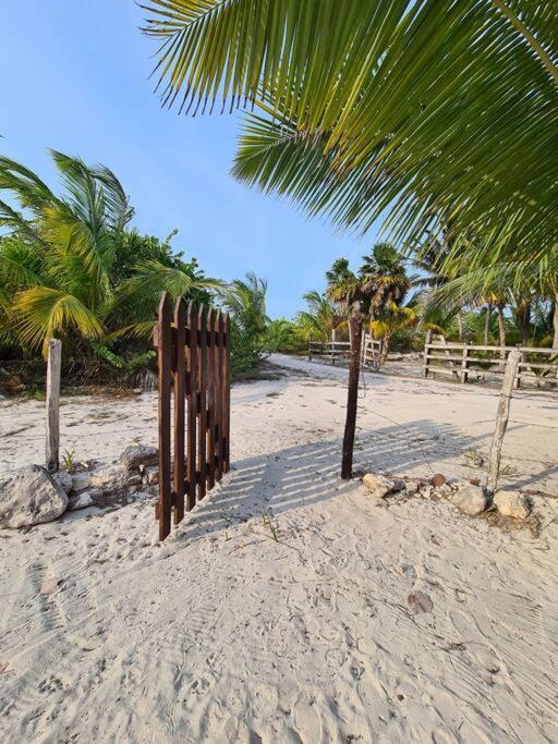 Casa Perla Marina, Pequena Casa Frente A La Playa. Apartment Ел Куйо Екстериор снимка